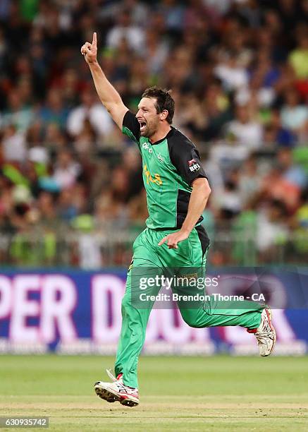 Ben Hilfenhaus of the Stars celebrates after claiming the wicket of Shane Watson of the Thunder during the Big Bash League match between the Sydney...