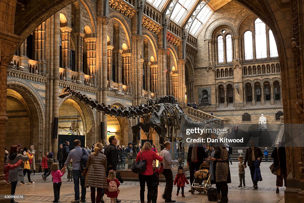 Last Day At The Museum For Dippy The Diplodicus