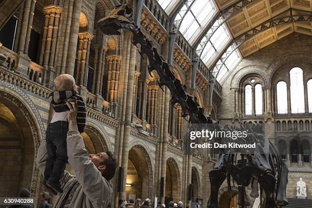 Members of the public walk around 'Dippy' the Diplodocus at Natural History Museum on January 4, 2017 in London, England. The 70ft long plaster-cast...