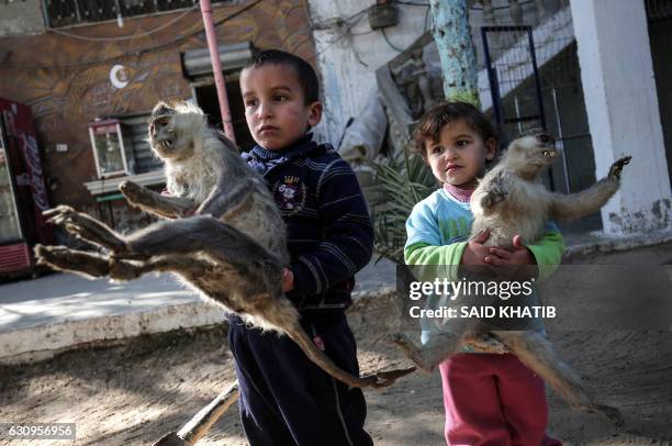 Palestinian children hold the bodies of mummified monkeys that died from hunger and Israeli strikes during the 50-day war between Israel and Hamas...