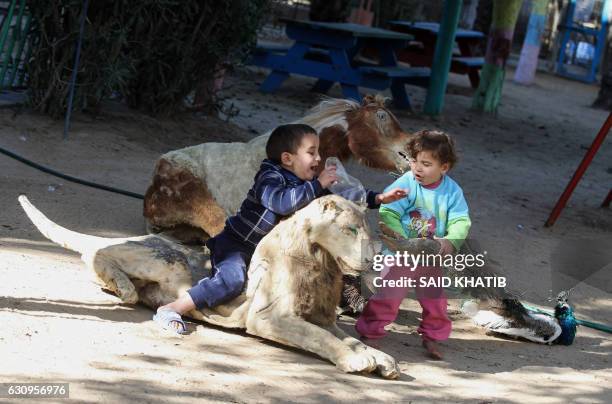 Palestinian children play next to the bodies of mummified animals that died from hunger and Israeli strikes during the 50-day war between Israel and...