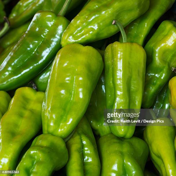 green peppers - dolores hidalgo stock pictures, royalty-free photos & images