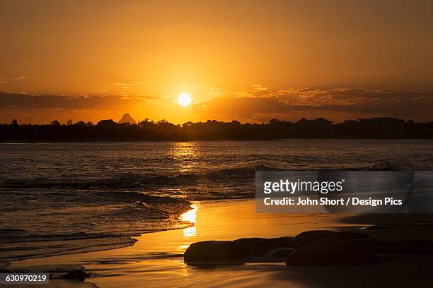 a golden sun sets over silhouetted trees and reflects on the wet beach along the coast - caloundra stock pictures, royalty-free photos & images
