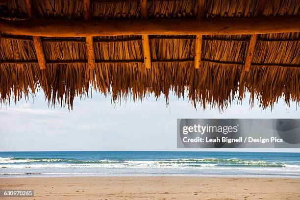 shaded shelter with straw top in playa hermosa - san juan del sur bildbanksfoton och bilder