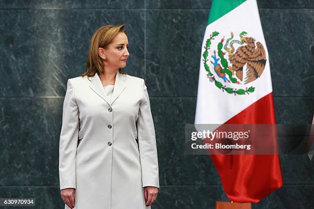 Claudia Ruiz Massieu Salinas, Mexico's former minister of foreign affairs, stands during a press conference at the Los Pinos presidential residence...