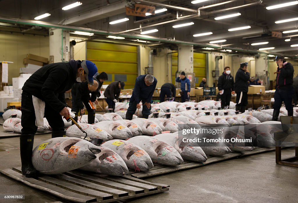 Tsukiji Fish Market Holds First Auction For 2017