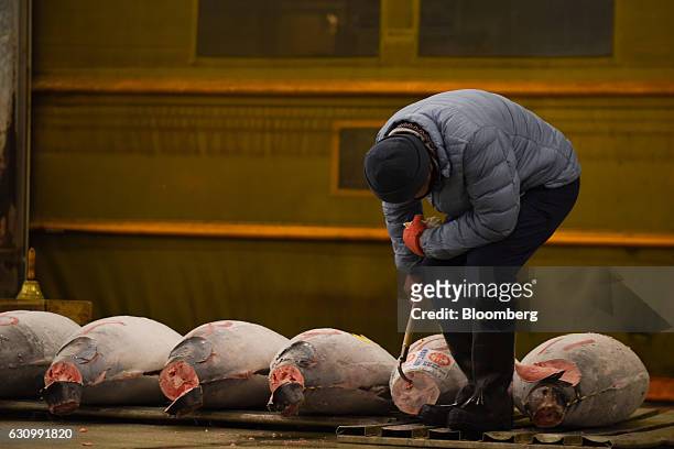 Buyer inspects frozen tuna prior to the first auction of the year at Tsukiji Market in Tokyo, Japan, on Thursday, Jan. 5, 2017. Kiyomura K.K.,...
