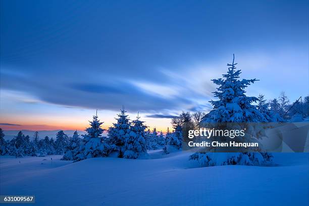 snow field - christmas celebrations in china imagens e fotografias de stock