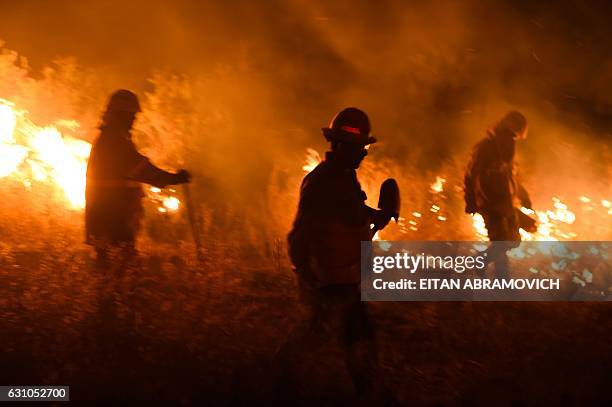 Firemen fight a wildfire near La Adela in La Pampa Province on January 5, 2017. Firefighters in Argentina said on January 5 they were bringing under...