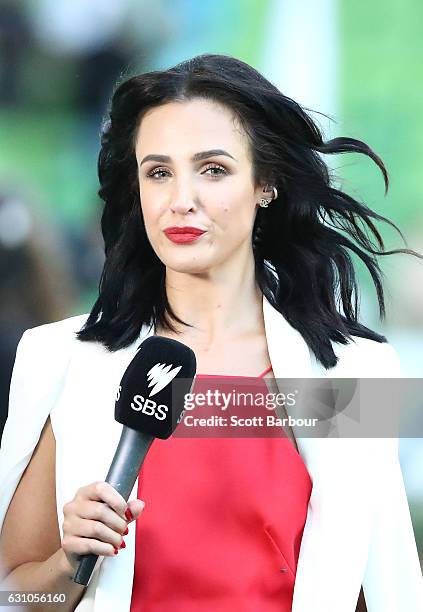 Lucy Zelic, SBS television presenter looks on during the round 14 A-League match between Melbourne City FC and the Western Sydney Wanderers at AAMI...