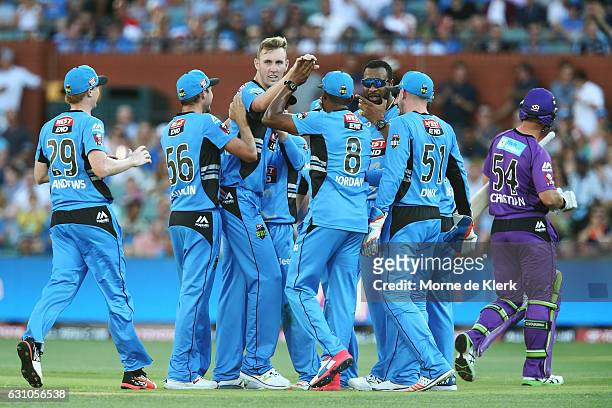 Billy Stanlake of the Adelaide Strikers is congratulated by teammates after getting the wicket of Dan Christian of the Hobart Hurricanes during the...