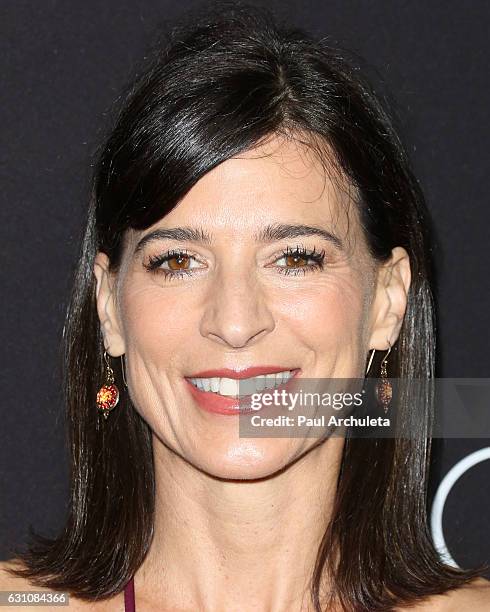 Actress Perrey Reeves attends the premiere of "Sleepless" at the Regal LA Live Stadium 14 on January 5, 2017 in Los Angeles, California.