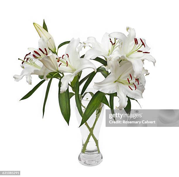 fragrant white lilies in glass vase on white. - lillies stock pictures, royalty-free photos & images