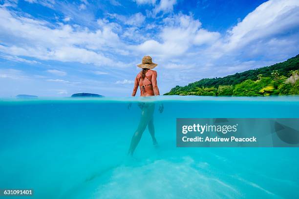 a woman at champagne beach, espiritu santo - mature woman in water stock pictures, royalty-free photos & images