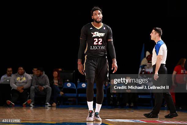 Branden Dawson of the Erie BayHawks looks on during the game against the Delaware 87ers on January 6, 2017 at the Bob Carpenter Center in Newark,...