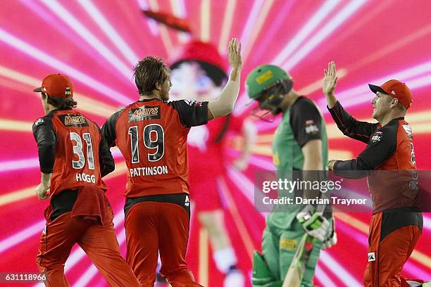 James Pattinson of the Melbourne Renegades celebrates the wicket of Luke Wright of the Melbourne Stars during the Big Bash League match between the...