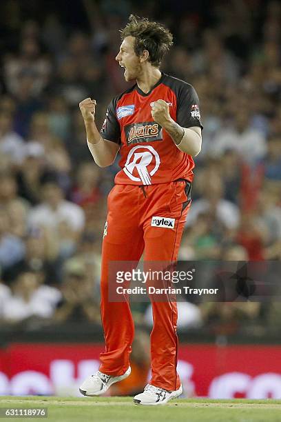 James Pattinson of the Melbourne Renegades celebrates the wicket of Luke Wright of the Melbourne Stars during the Big Bash League match between the...