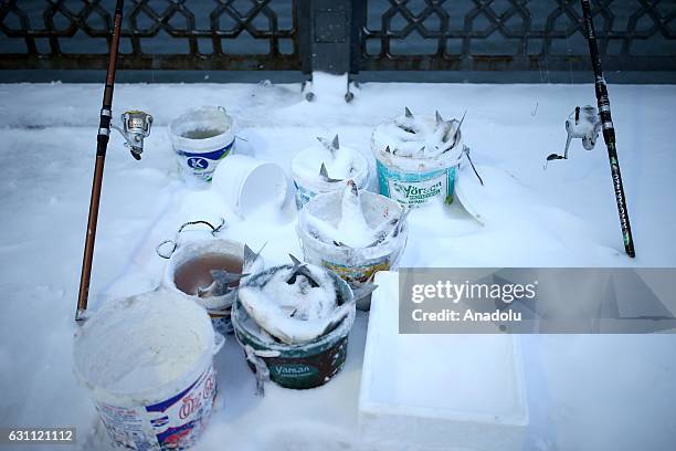 Fishes covered with snow inside the buckets are seen on the Galata Bridge over the Golden Horn during the heavy snowfall in Istanbul, Turkey on...