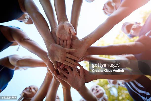 womens waterpolo team joining hands in huddle - huddling stock-fotos und bilder