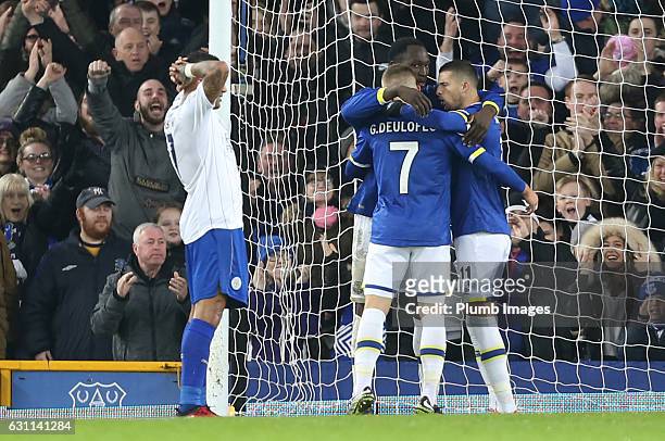 Romelu Lukaku of Everton celebrates after scoring to make it 1-0 during the FA Cup third round tie between Everton and Leicester City at Goodison...