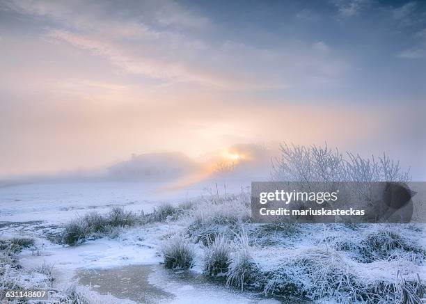 frosty winter landscape, cavan, ireland - cavan images stock-fotos und bilder