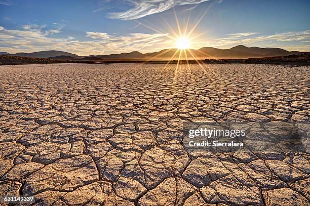 mojave desert sunrise - barre stockfoto's en -beelden