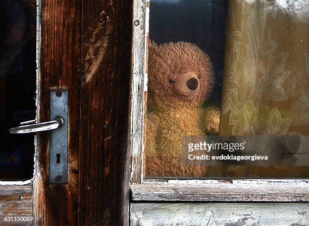 teddy bear in a window - teddy bear stock pictures, royalty-free photos & images