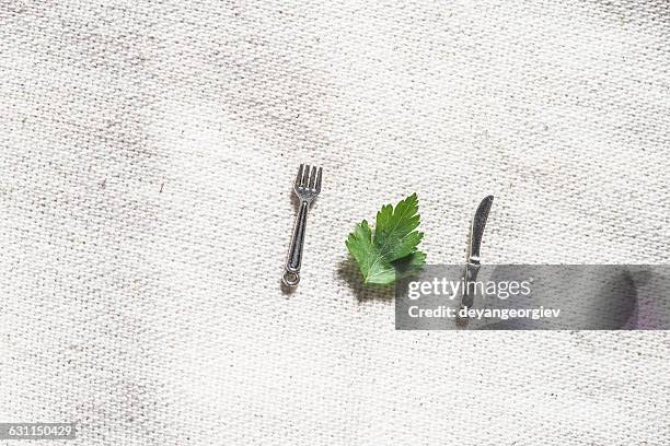 overhead view of parsley leaf and miniature cutlery - anorexia nervosa stock pictures, royalty-free photos & images