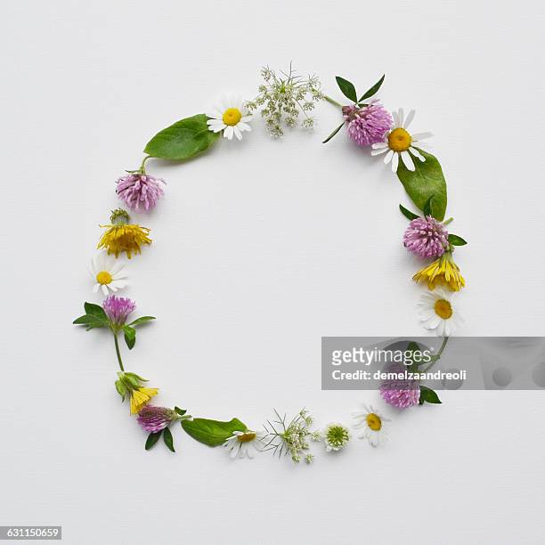 floral wreath made from wildflowers and leaves - margarida imagens e fotografias de stock
