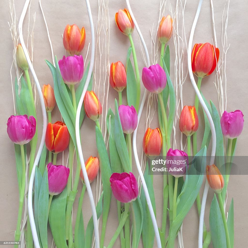 Colorful tulip decoration