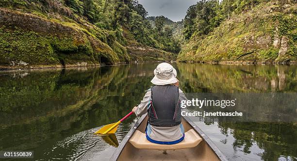 woman canoeing on river whanganui, north island, new zealand - north island new zealand 個照片及圖片檔