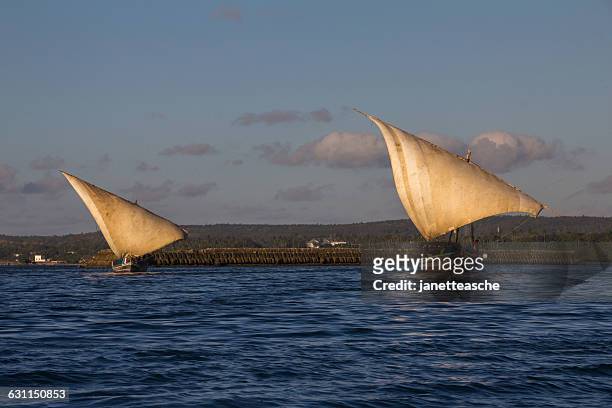 dhows sailing, stone town harbor, zanzibar, tanzania - stone town imagens e fotografias de stock