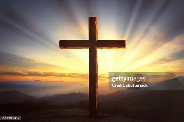 1 269 344 Cross Stock Photos High Res Pictures And Images Getty Images 1-269-344-cross-stock-photos-high-res-pictures-and-images-getty-images