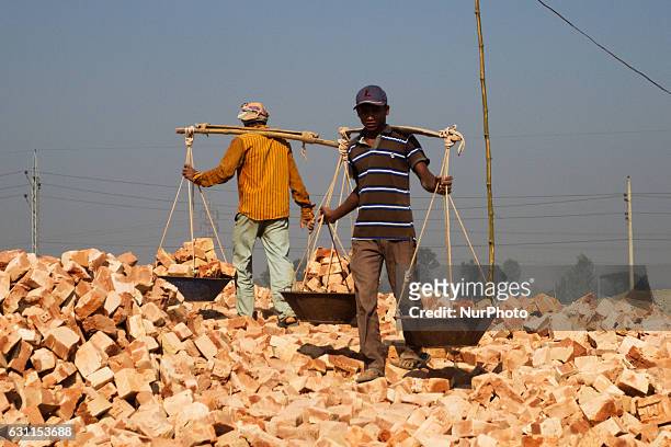 Laborers are working in a brick-field in Rangpur, Bangladesh on 07 January 2017.