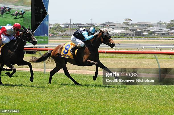 Centafloral ridden by Andrew Mallyon wins Gillear Lime & Sandstone Quarries Maiden Plate at Warrnambool Racecourse on January 08, 2017 in...