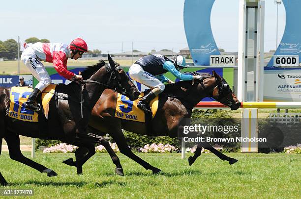 Centafloral ridden by Andrew Mallyon wins Gillear Lime & Sandstone Quarries Maiden Plate at Warrnambool Racecourse on January 08, 2017 in...