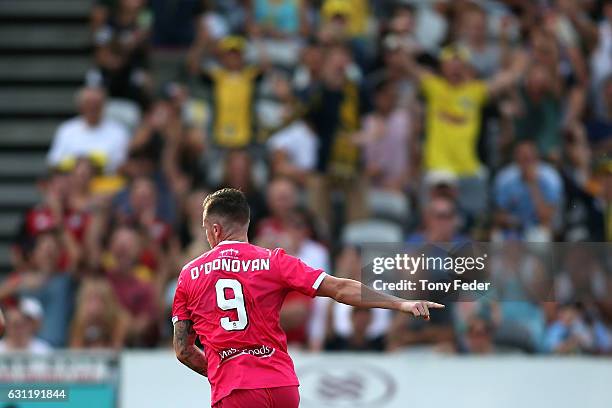 Roy O'Donovan of the Mariners celebrates a goal during the round 14 A-League match between the Central Coast Mariners and Sydney FC at Central Coast...