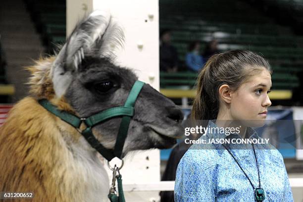 Millie Mayo of Arvada, Colorado, and her llama Humprey wait to compete in the Llama Performance Show at the National Western Stock Show in Denver,...