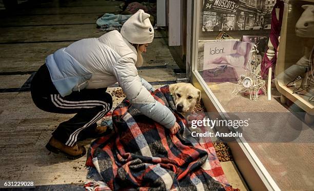 Woman blankets a dog to keep it warm at the entrance of a shopping center in Bakirkoy district of Istanbul, Turkey on January 8, 2017. Citizens feed...