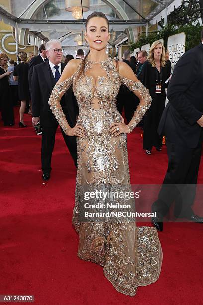 74th ANNUAL GOLDEN GLOBE AWARDS -- Pictured: Actress Sofia Vergara arrives to the 74th Annual Golden Globe Awards held at the Beverly Hilton Hotel on...