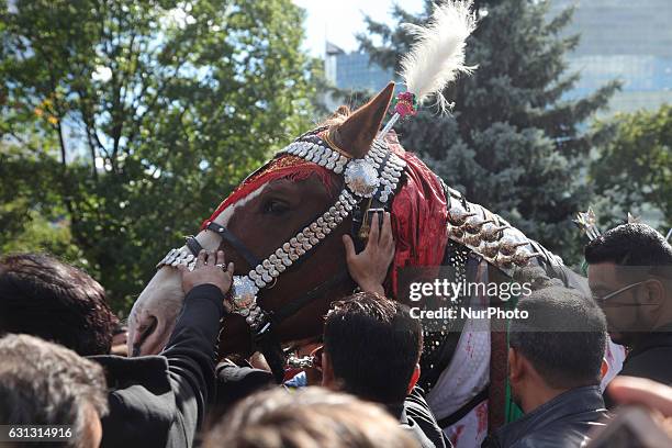 Pakistani Shiite Muslims touch a horse symbolizing the horse that carried Imam Hussein during the battle of Karbala during the holy month of Muharram...