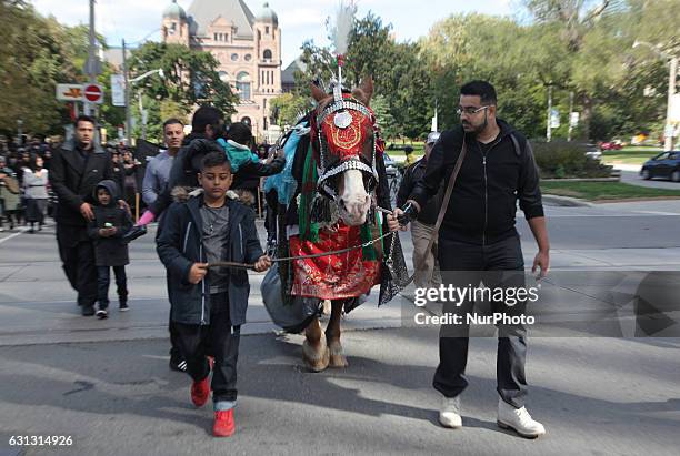 Pakistani Shiite Muslims touch a horse symbolizing the horse that carried Imam Hussein during the battle of Karbala during the holy month of Muharram...