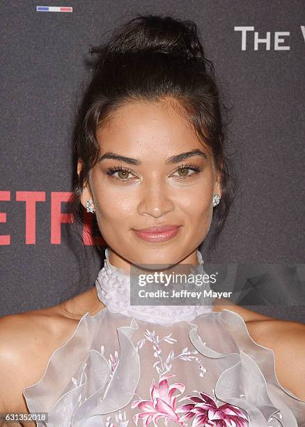 Model Shanina Shaik attends The Weinstein Company and Netflix Golden Globe Party, presented with FIJI Water, Grey Goose Vodka, Lindt Chocolate, and...