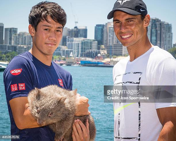 World No.5 Kei Nishikori and World No. 9 Rafael Nadal pictured holding native Australian Wombat 'Lola' at a media call prior to the FAST4 Showdown...