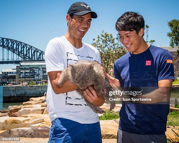 World No. 9 Rafael Nadal and World No.5 Kei Nishikori pictured holding native Australian Wombat 'Lola' at a media call prior to the FAST4 Showdown...