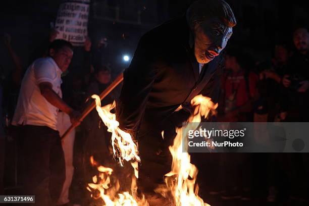 Demonstrators burned a figure of Donald Trump, and the Mexican President Enrique Peña Nieto in front of Nacional Palace of Mexico City, on 9 January...