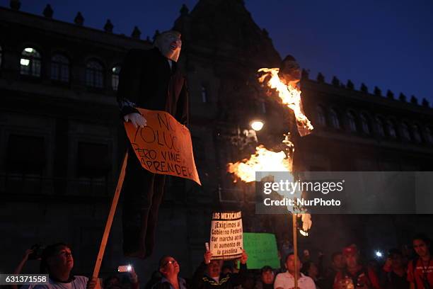 Demonstrators burned a figure of Donald Trump, and the Mexican President Enrique Peña Nieto in front of Nacional Palace of Mexico City, on 9 January...