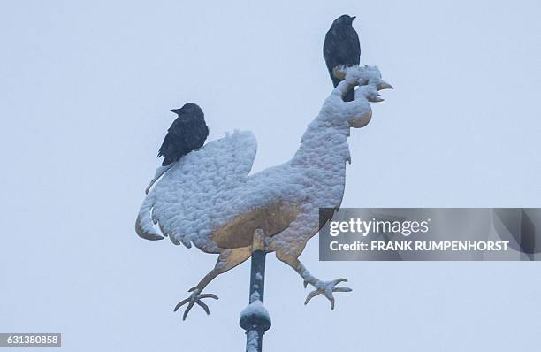 Two crows sit on a weathercock covered in snow on a steeple in Bad Vilbel near Frankfurt am Main, western Germany, on January 10, 2017. / AFP / dpa /...