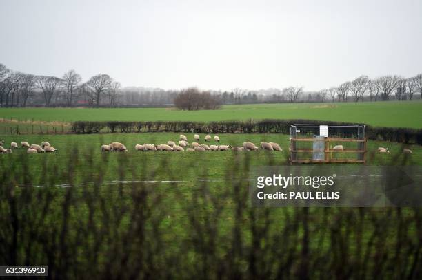 Sheep graze in the field around a fenced off bore hole at the Preston New Road site where Energy firm Cuadrilla are setting up fracking operations at...