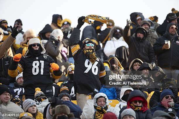 Playoffs: View of Pittsburgh Steelers fans in stands during game vs Miami Dolphins at Heinz Field. Pittsburgh, PA 1/8/2017 CREDIT: Al Tielemans